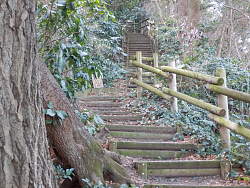 西峰まで続く階段