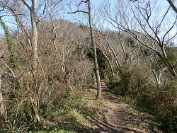 行く手に見える山頂らしきピーク