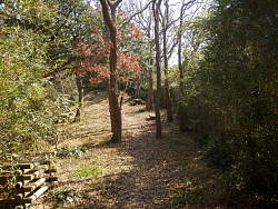 展望台先の風景・案内では西峰第二広場とある