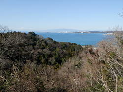 展望台からの海側の眺め