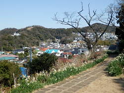 あじさい公園から仙元山方面を