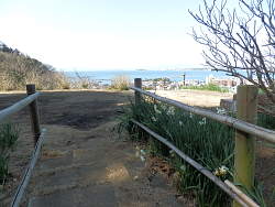 あじさい公園から海側を