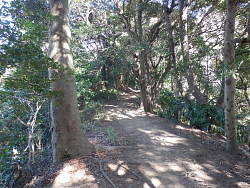 教会裏手の尾根道