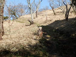 山頂下の明るい斜面