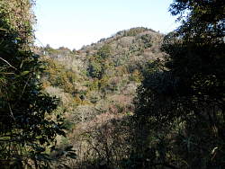 前方に次のピークが見える