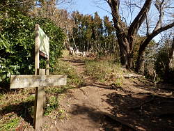 カンノン塚は右手に下って行く