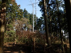伐採地奥ノアンテナ