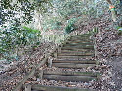 直ぐに階段状になる