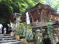 上がまだ新しい本殿