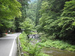 貴船川沿いの道