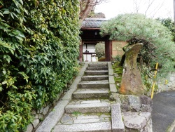 金福寺山門を道路から