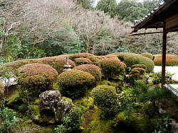室内から庭を眺める