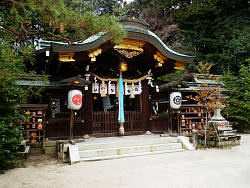 社殿 左手前に武蔵象