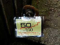 石段数を示す案内狸