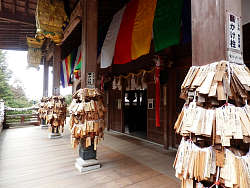 本殿正面を見る