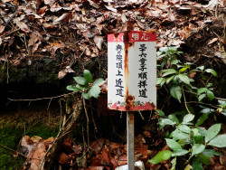 奥の院近道の標識