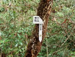 第十八番の前にある山頂標識