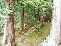 中央奥に蕪村の墓