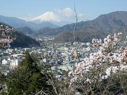 公園内から大月市街地越しに富士山
