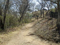 尾根上に出た場所から展望台方面を