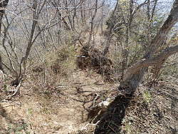 山頂東の空堀跡