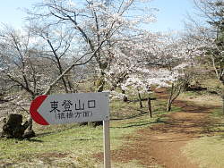 山頂下の東登山口分岐