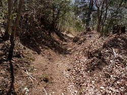 途中のやや抉れた道