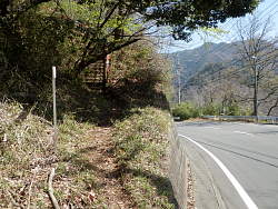 東登山口 車道に降りた場所から