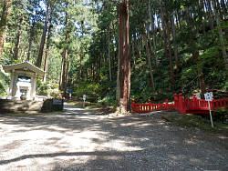 男坂と女坂の分岐