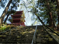 270段目あたりから見上げた五重塔