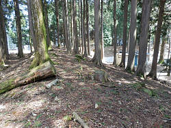 祖師堂裏の数メートル高い場所 1153m