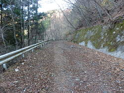 富士見台方向の林道