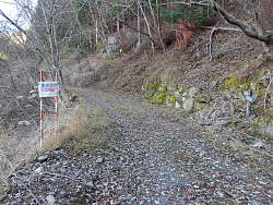 右手から山道に