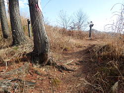 尾根に出た場所