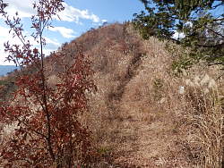 富士見台を望む