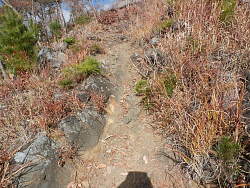 岩・石の多い道