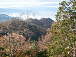 遠くに宮宕山(甲州高尾山)方面を