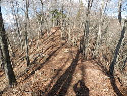 大滝山山頂手前の尾根風景