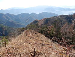 林道から富士見台方向を見る