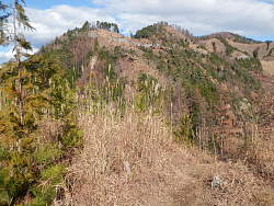 富士見台から棚横手山を望む